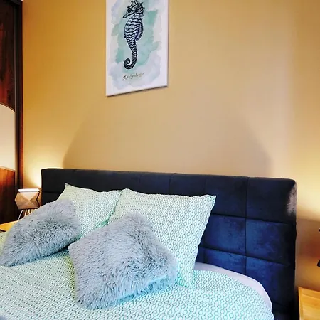 公寓 Apartament Awa Polanki